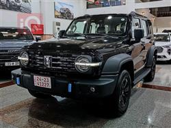 جريت وول 300